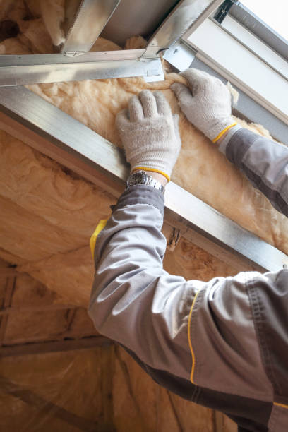 Best Insulation Maintenance and Repair in Richlands, VA
