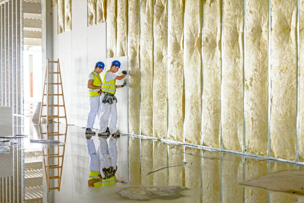Best Eco-Friendly Insulation in Richlands, VA